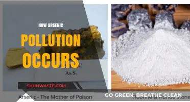 Arsenic Pollution: Understanding the Toxic Threat