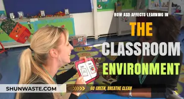 Understanding ASD's Impact on Classroom Learning and Strategies for Success