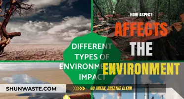 Aspect's Impact: Unveiling Environmental Consequences and Sustainable Solutions