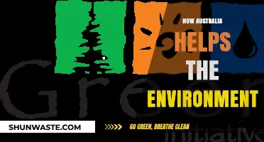 Australia's Green Initiatives: Leading Environmental Conservation and Sustainability Efforts