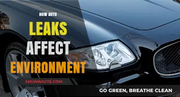 Auto Leaks' Environmental Impact: Pollution, Soil Damage, and Water Contamination