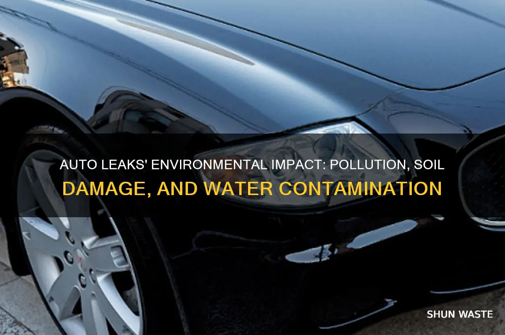 how auto leaks affect environment