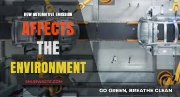 Automotive Emissions: Environmental Impact and Sustainable Solutions Explored