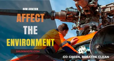 Aviation's Environmental Impact: Emissions, Noise, and Climate Change Concerns
