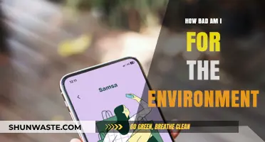 My Environmental Impact: Uncovering the Harm in My Daily Habits