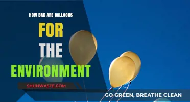 Balloons' Environmental Impact: Uncovering the Hidden Dangers in the Sky