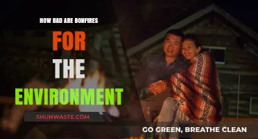 Bonfires' Environmental Impact: Uncovering the Hidden Costs of Cozy Flames