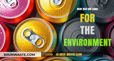 Cans and the Environment: Uncovering Their Hidden Ecological Impact