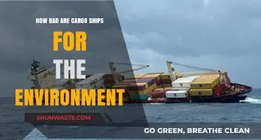 Cargo Ships' Environmental Impact: A Hidden Threat to Our Planet
