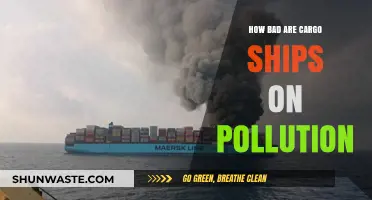 Cargo Ships: Polluting Our Oceans and Air