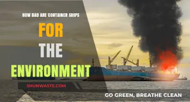 Container Ships' Environmental Impact: A Deep Dive into Pollution and Solutions