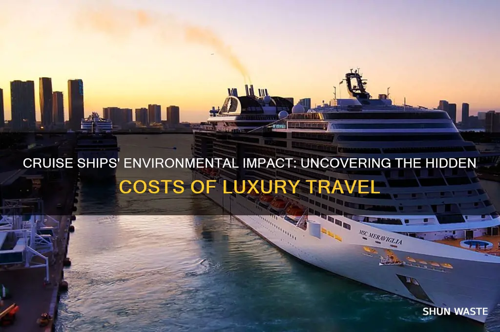 how bad are cruise ships for tge environment