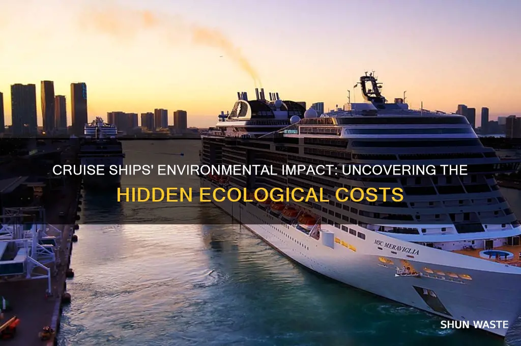 how bad are cruise ships for the environment
