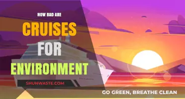 Cruises' Environmental Impact: Uncovering the Hidden Costs of Ocean Travel