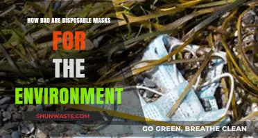 Disposable Masks' Environmental Impact: Unmasking the Hidden Ecological Crisis