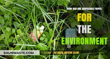Disposable Vapes' Environmental Impact: A Growing Concern for Our Planet