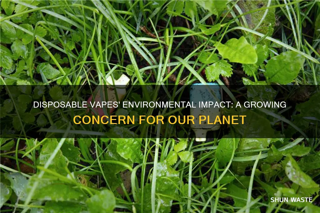how bad are disposable vapes for the environment