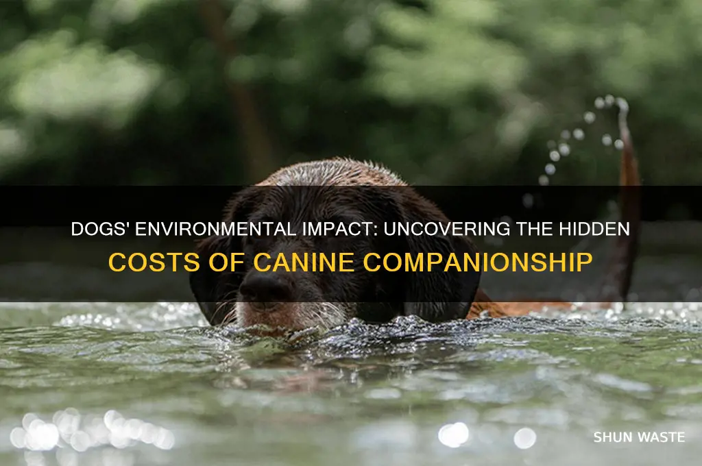 how bad are dogs for the environment