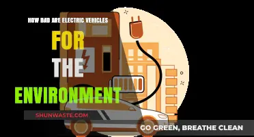 Are Electric Vehicles Truly Eco-Friendly? Uncovering Their Environmental Impact