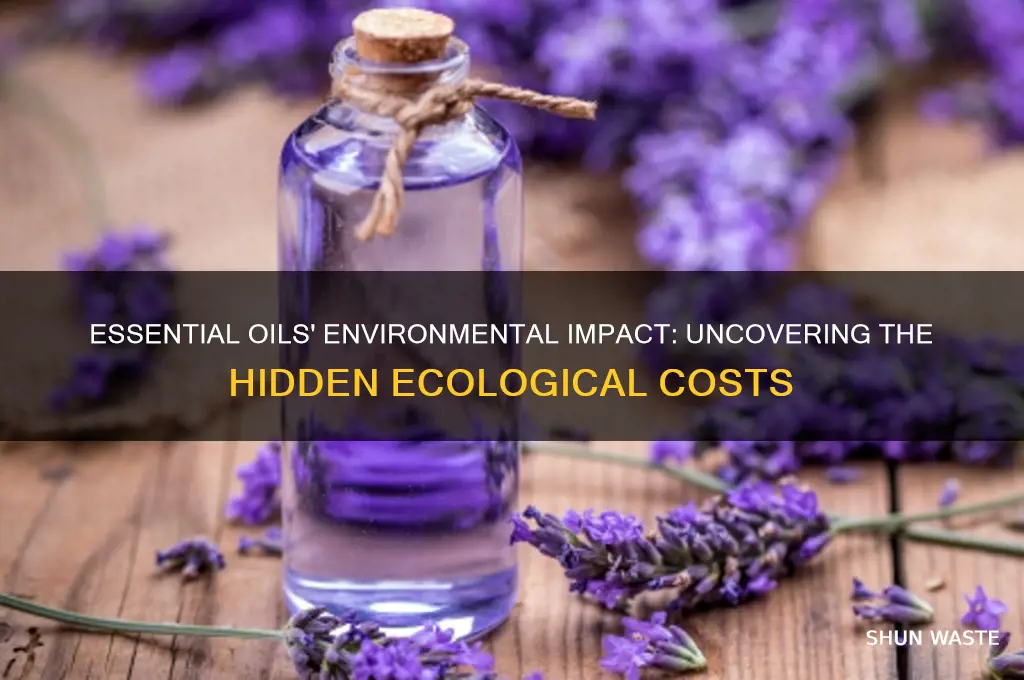 how bad are essential oils for the environment