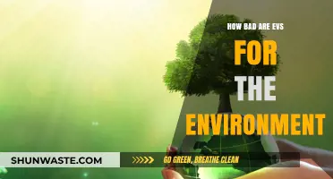 Are Electric Vehicles Truly Eco-Friendly? Uncovering Their Environmental Impact
