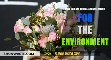 Floral Arrangements' Environmental Impact: Uncovering the Hidden Ecological Costs