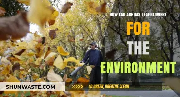 Gas Leaf Blowers: Environmental Impact and Greener Alternatives Explored