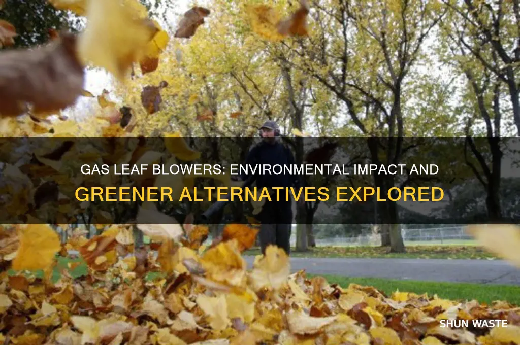 how bad are gas leaf blowers for the environment