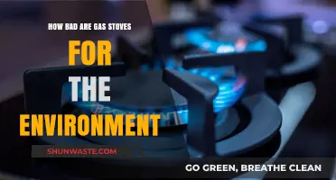 Gas Stoves' Environmental Impact: Uncovering the Hidden Costs of Cooking