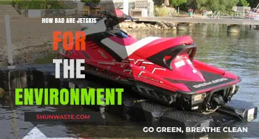 Jet Skis' Environmental Impact: Harmful Effects and Sustainable Alternatives