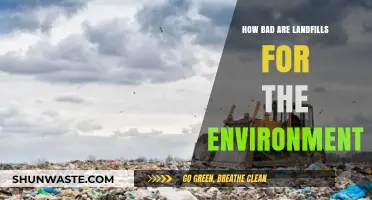 Landfills' Devastating Environmental Impact: Uncovering the Hidden Dangers