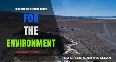 Lithium Mining's Environmental Impact: Uncovering the Hidden Costs of Green Energy