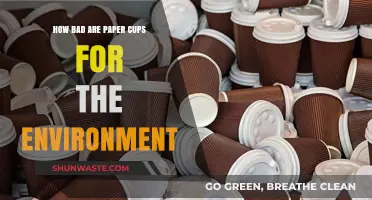 Paper Cups' Environmental Impact: Uncovering the Hidden Ecological Costs