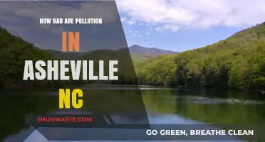 Asheville's Pollution: A Clear and Present Danger?