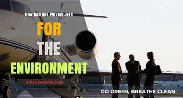Private Jets' Environmental Impact: Luxury Travel's Hidden Carbon Footprint