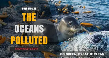 The Ocean's Pollution Crisis: Understanding the Devastating Impact