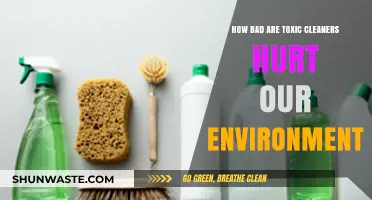 Toxic Cleaners: Unseen Environmental Damage and Sustainable Alternatives