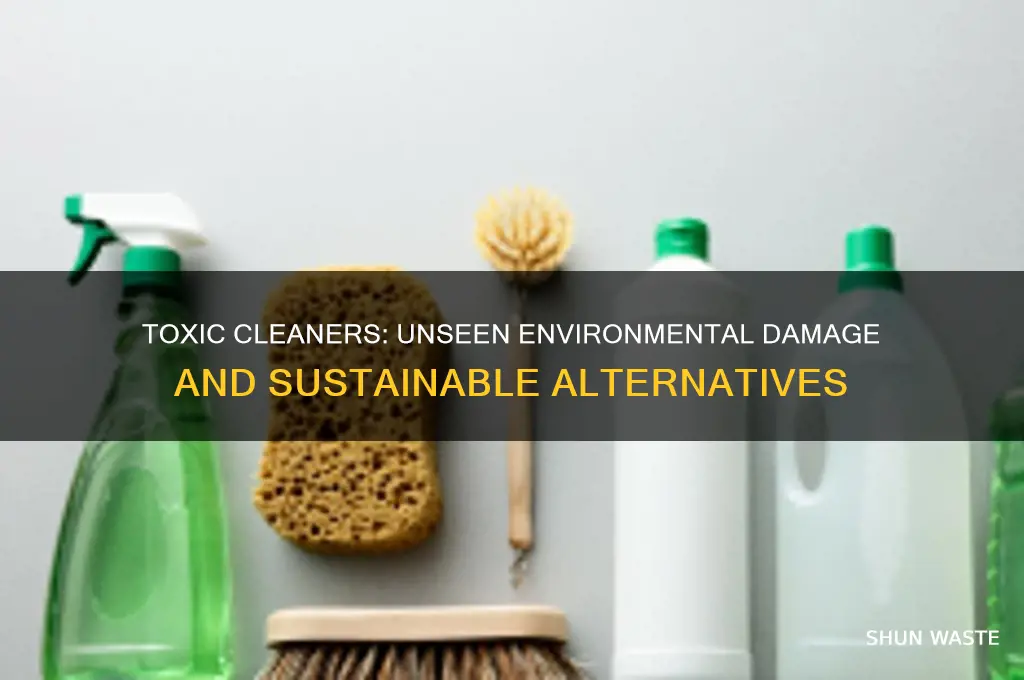 how bad are toxic cleaners hurt our environment