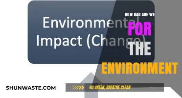 Human Impact: Our Destructive Footprint on the Environment Explained