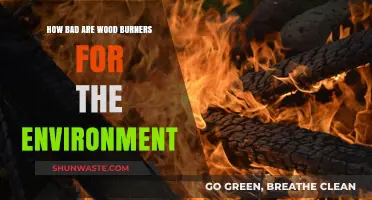 Wood Burners and the Environment: Uncovering Their True Ecological Impact