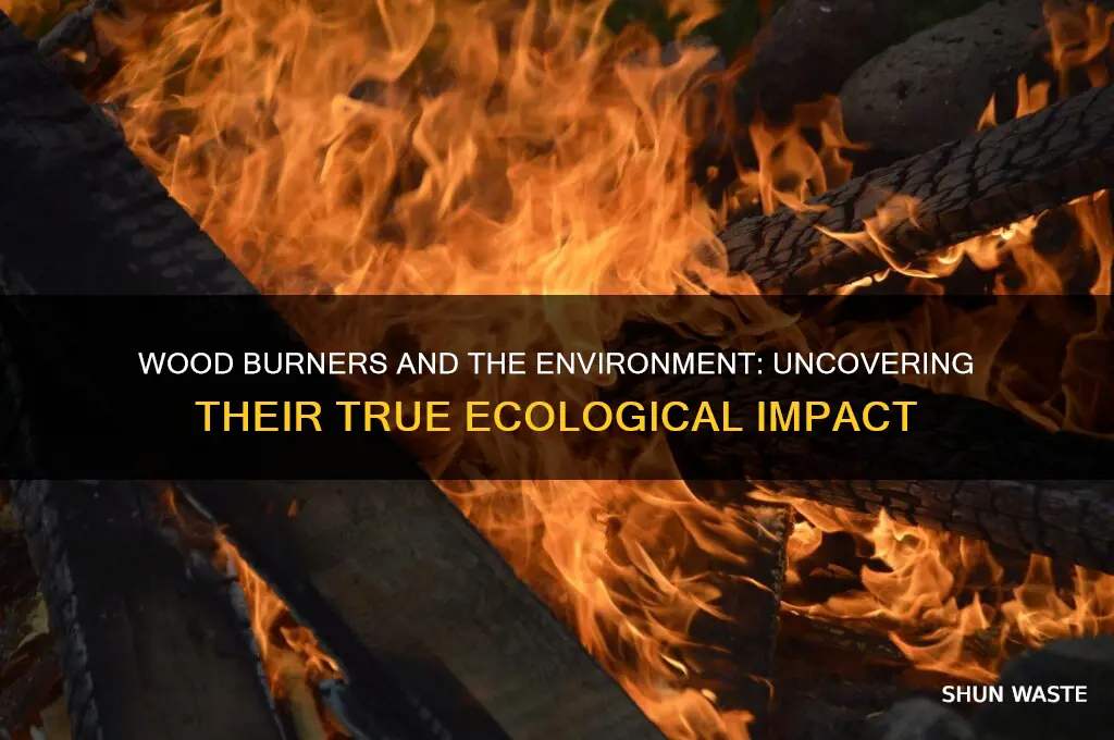 how bad are wood burners for the environment