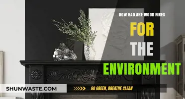 Wood Fires and the Environment: Uncovering Their Hidden Ecological Impact