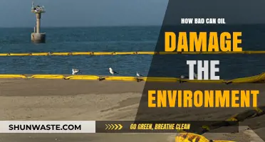 Devastating Environmental Impacts of Oil Spills: A Comprehensive Analysis
