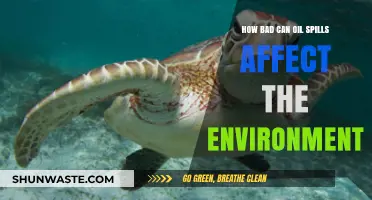 Devastating Impact: How Oil Spills Destroy Ecosystems and Wildlife