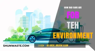 The Environmental Impact of Cars: Pollution, Emissions, and Sustainability Challenges
