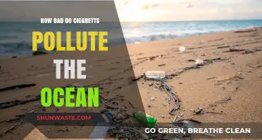 Cigarettes: Ocean Polluters and Killers