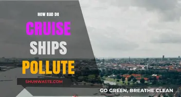 Cruise Ships: A Polluting Paradise