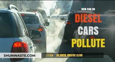 Diesel Cars: Polluting Our Planet, Harming Our Health