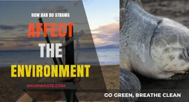 Straws' Environmental Impact: Uncovering the Hidden Harm to Our Planet