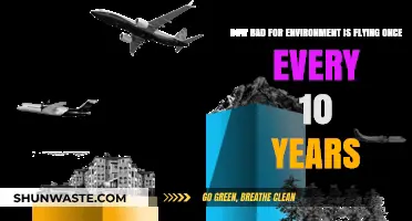 Flying Once a Decade: Environmental Impact and Sustainable Travel Tips